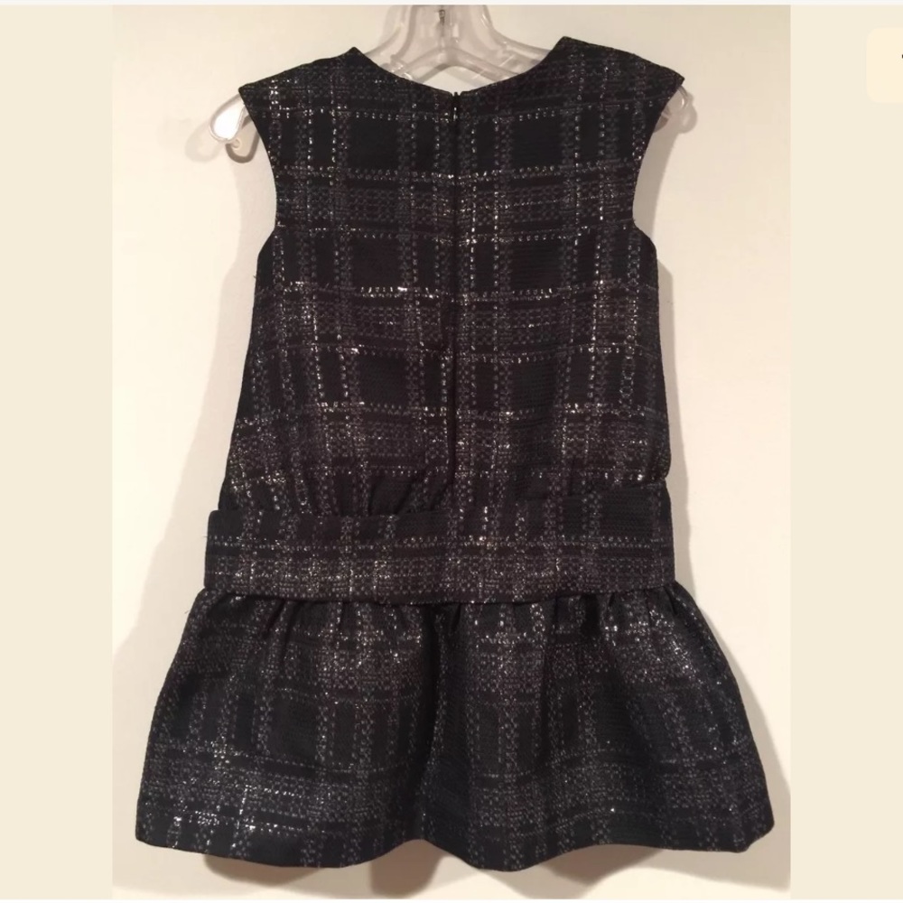 LILI GAUFRETTE**Black Silver Gorgeous Party Dress - Picture 7 of 8